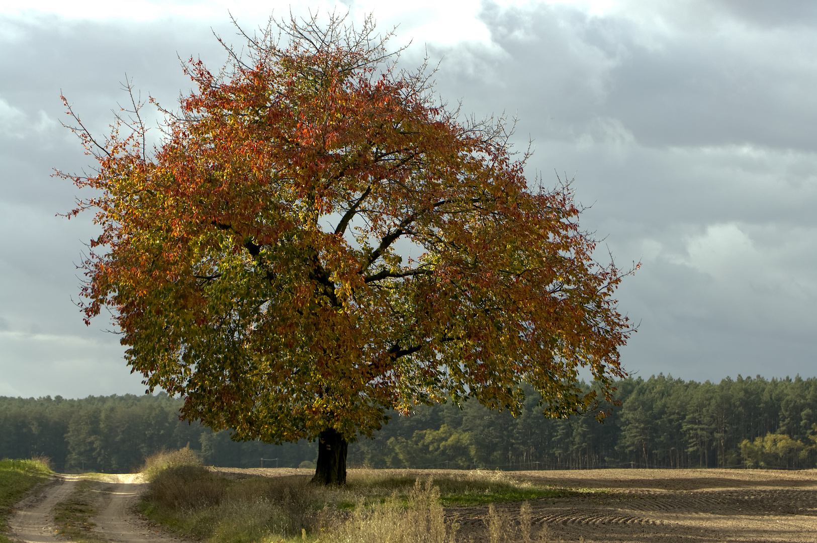 Herbst...