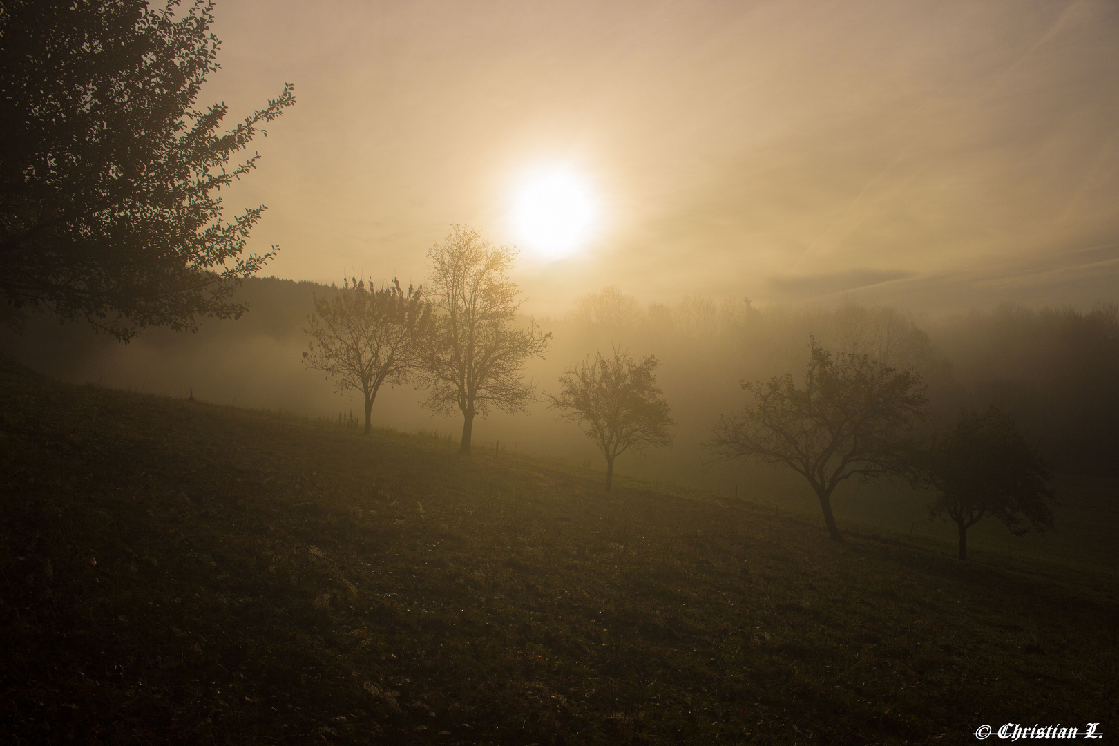 Herbst