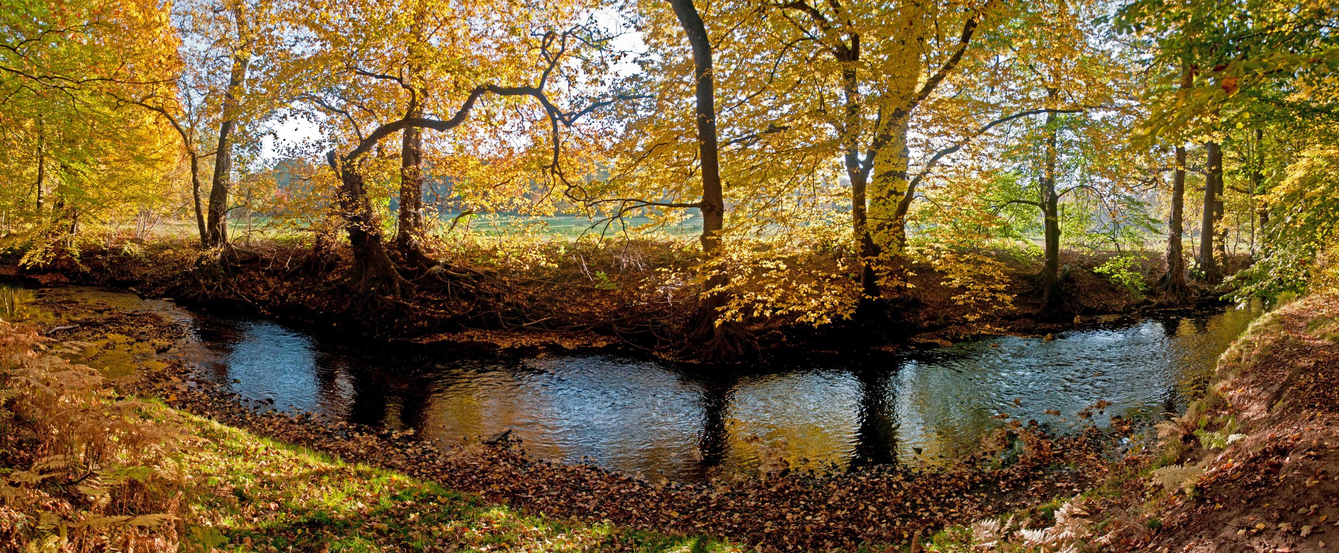 Herbst