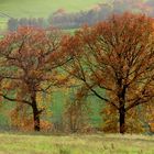 Herbst