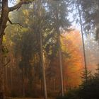 Herbst-