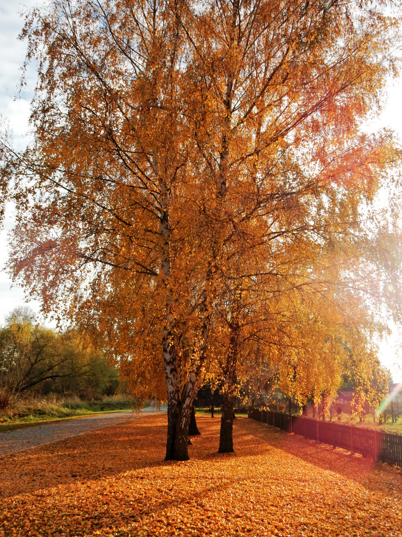 Herbst eben