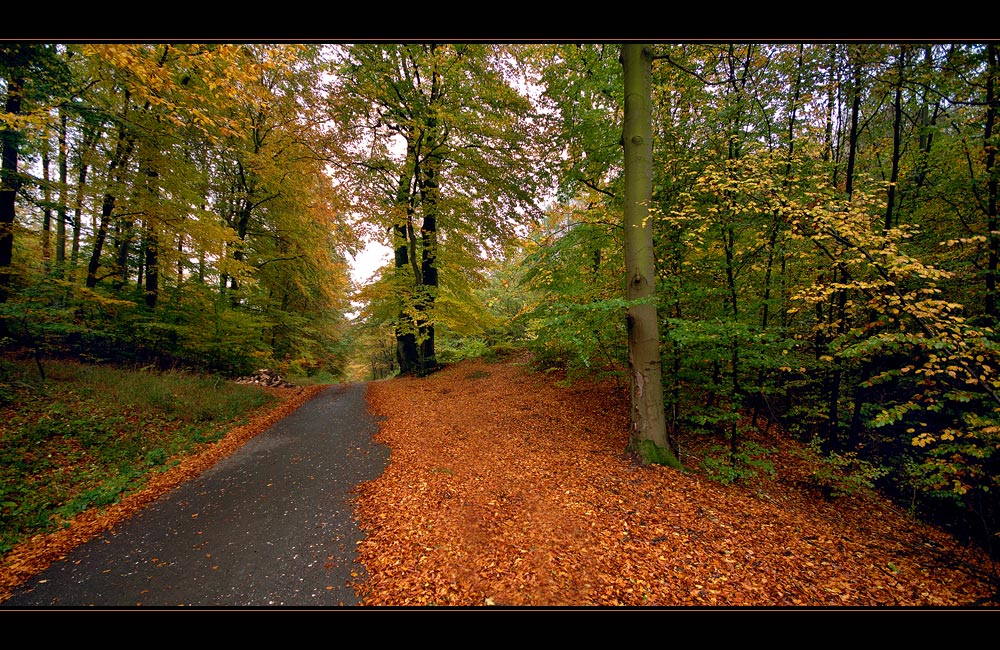 ~~ herbst ~~