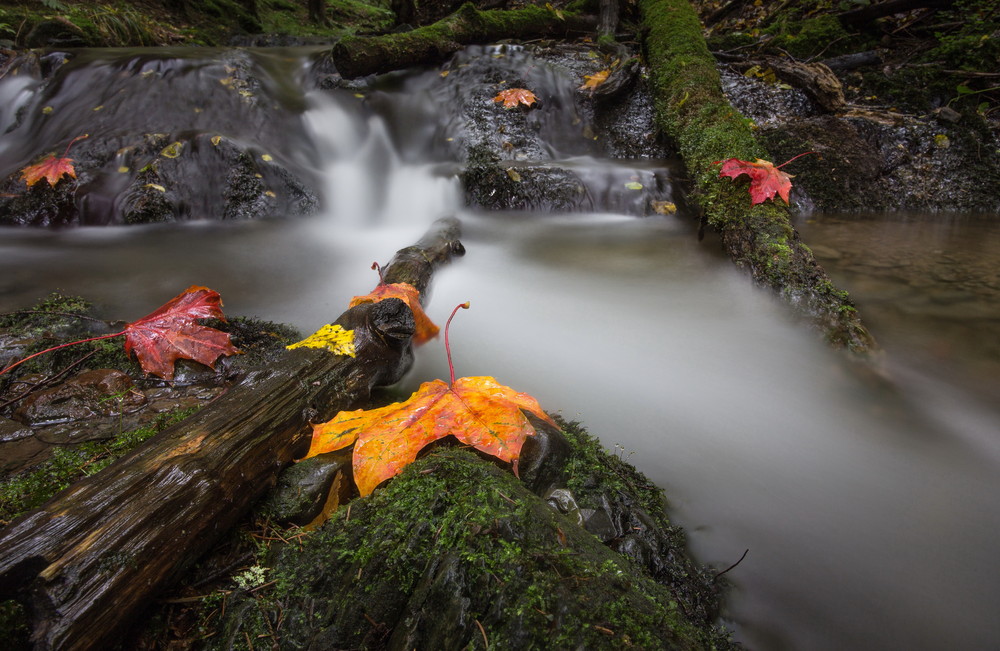 Herbst........