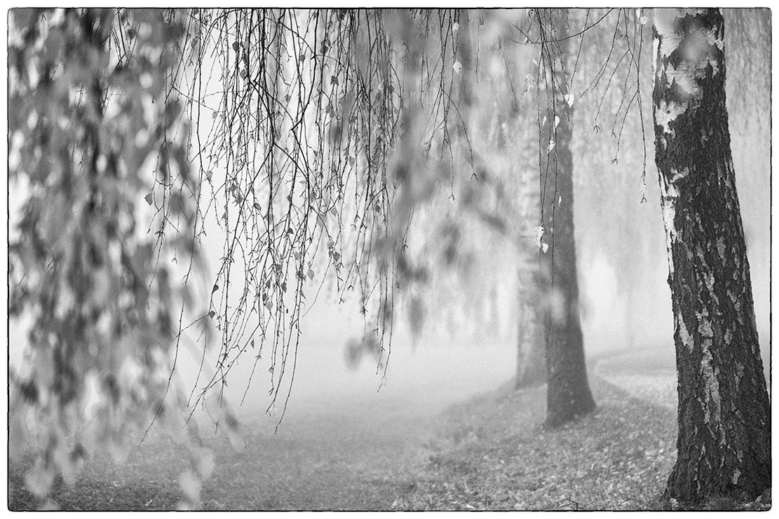 herbst