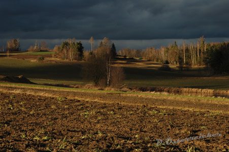 Herbst