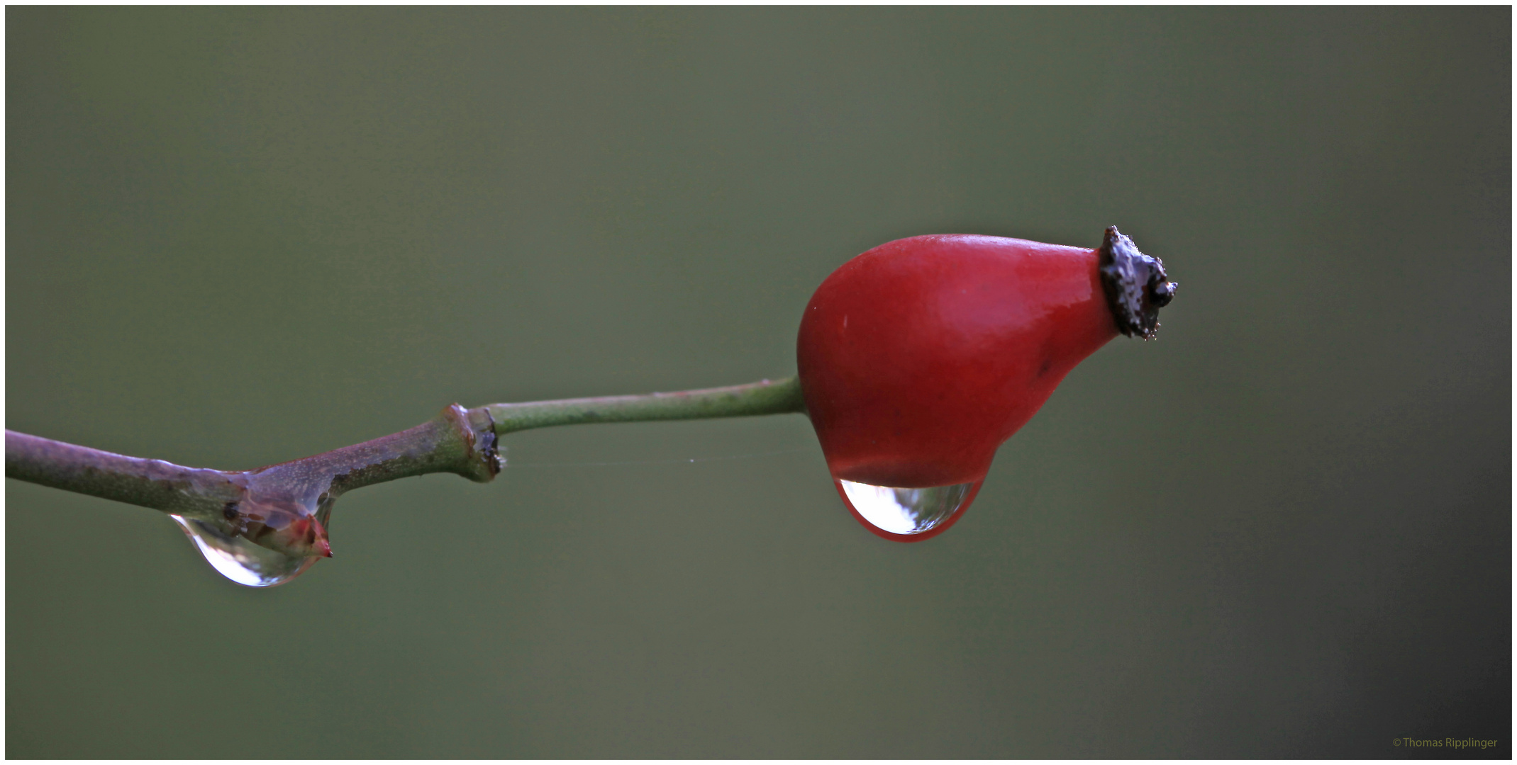 Herbst...