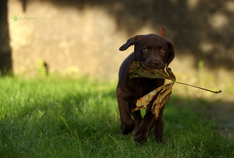 Herbst?