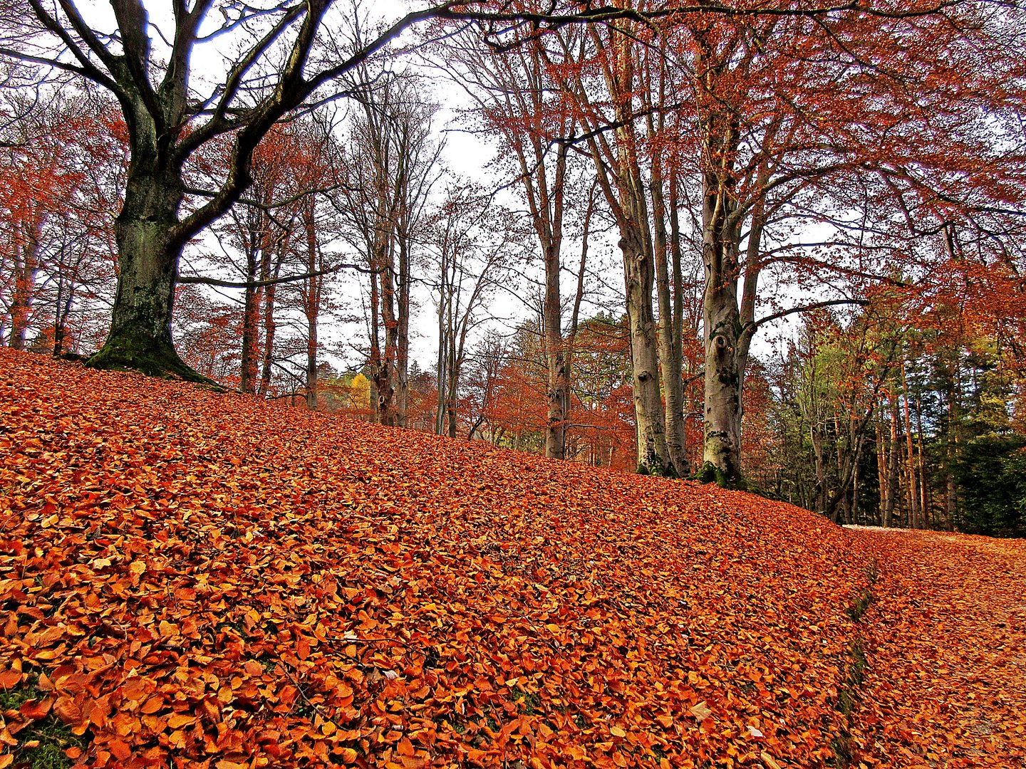 Herbst