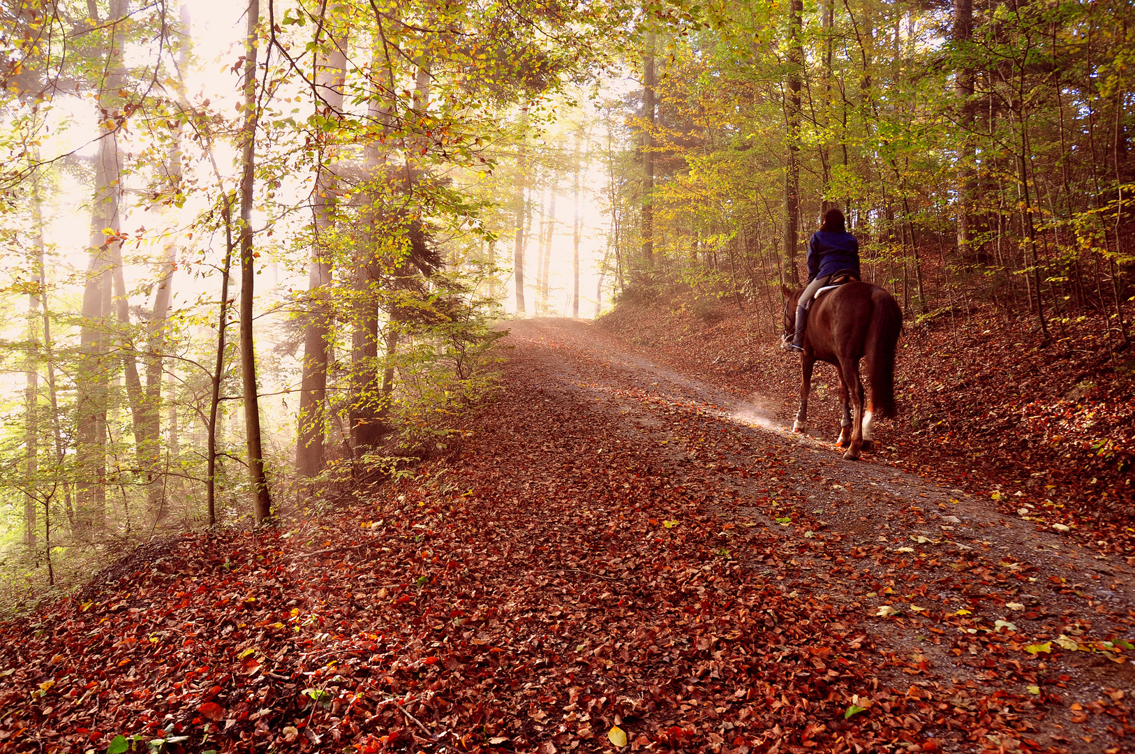 Herbst