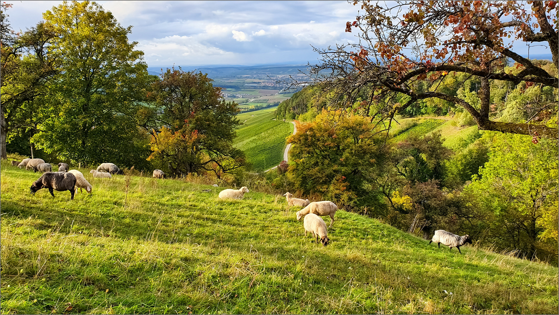 Herbst