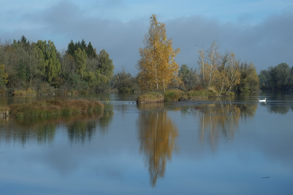 Herbst, eher zart