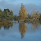 Herbst, eher zart