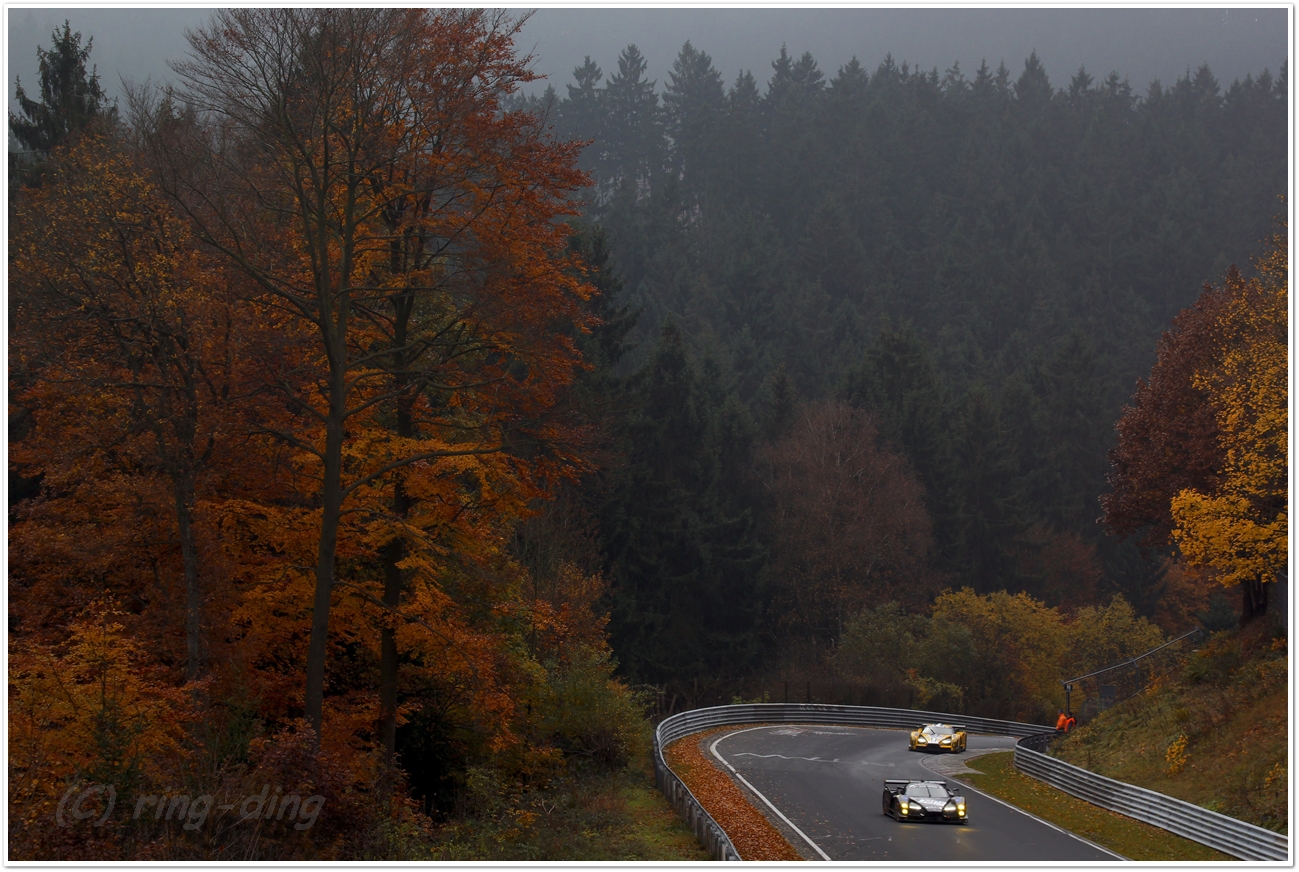 Herbst-Eifel