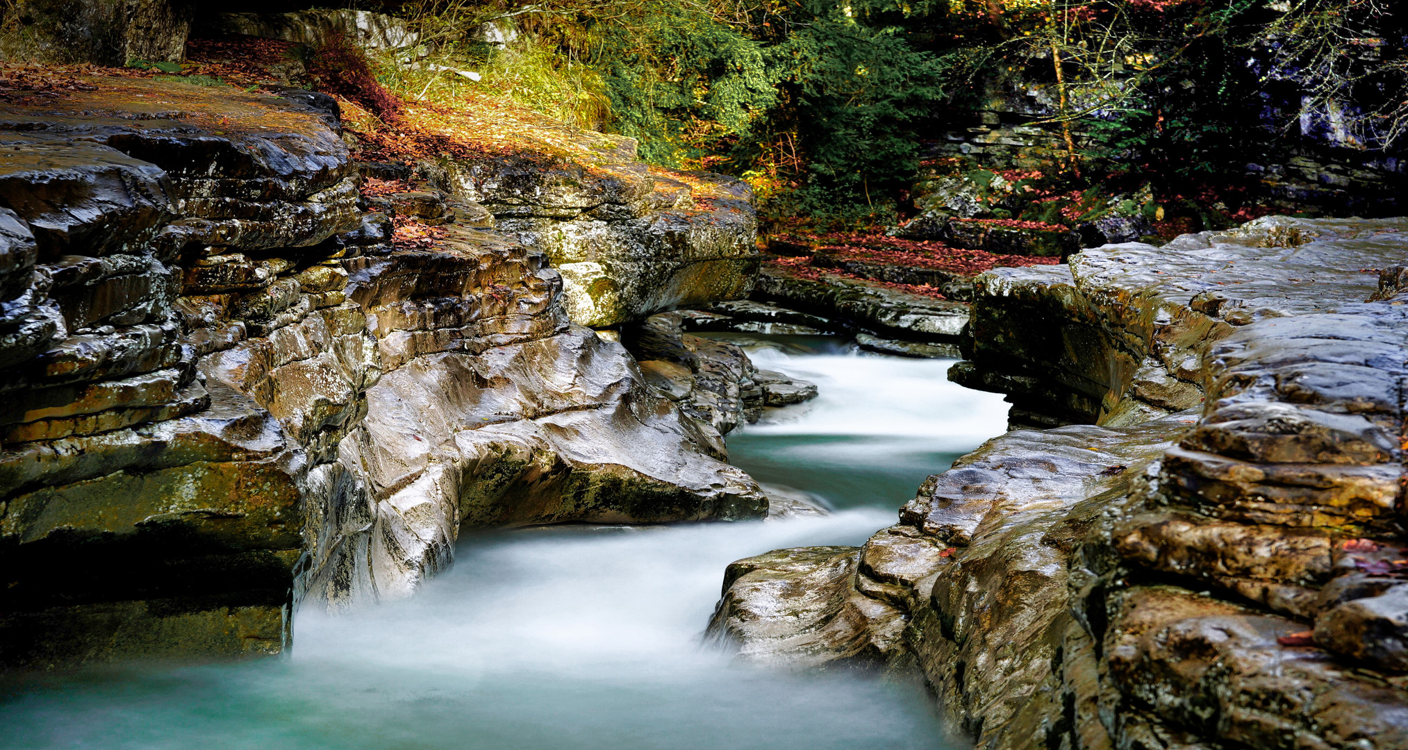 Herbst.... Ein kleiner Vorgriff