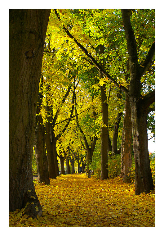 Herbst - Ein Nachtrag