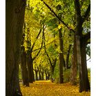 Herbst - Ein Nachtrag