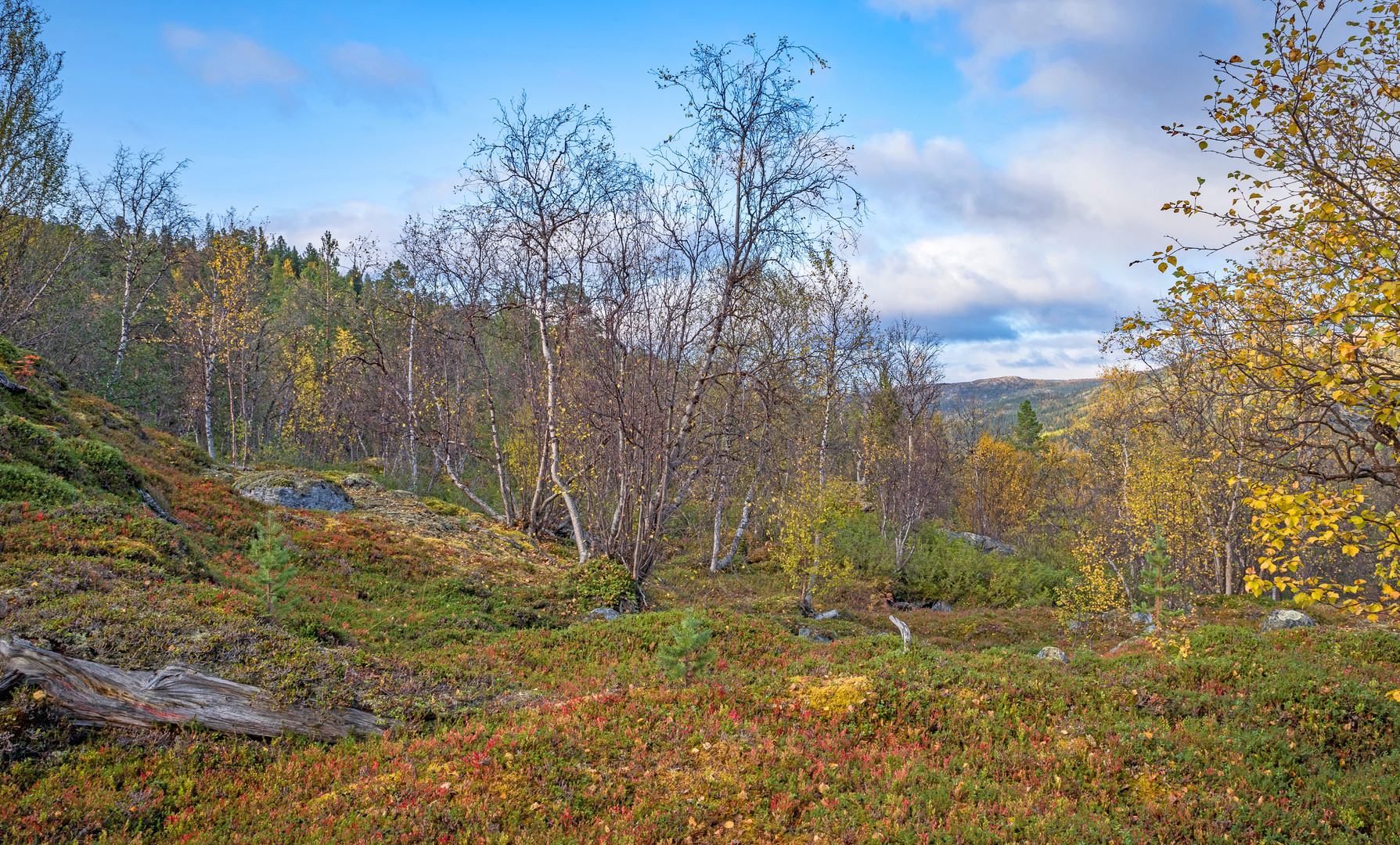 Herbst, ein visueller Genuss