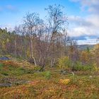 Herbst, ein visueller Genuss