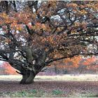 Herbst - eine Annäherung