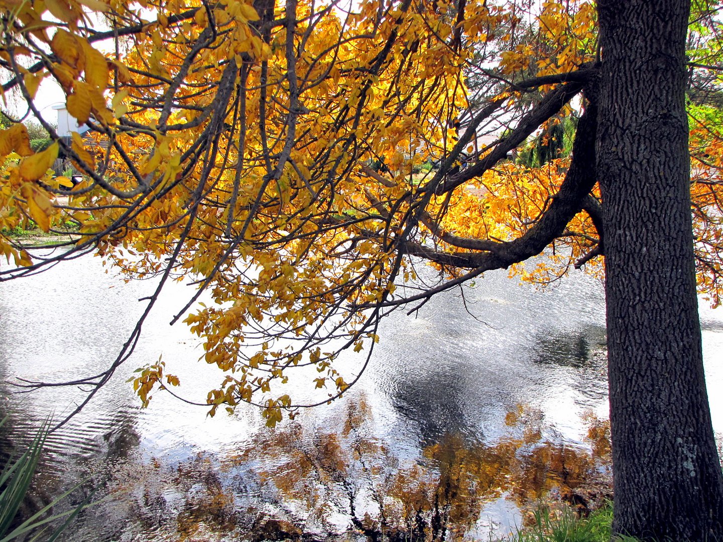 Herbst, eine schoene Jahreszeit