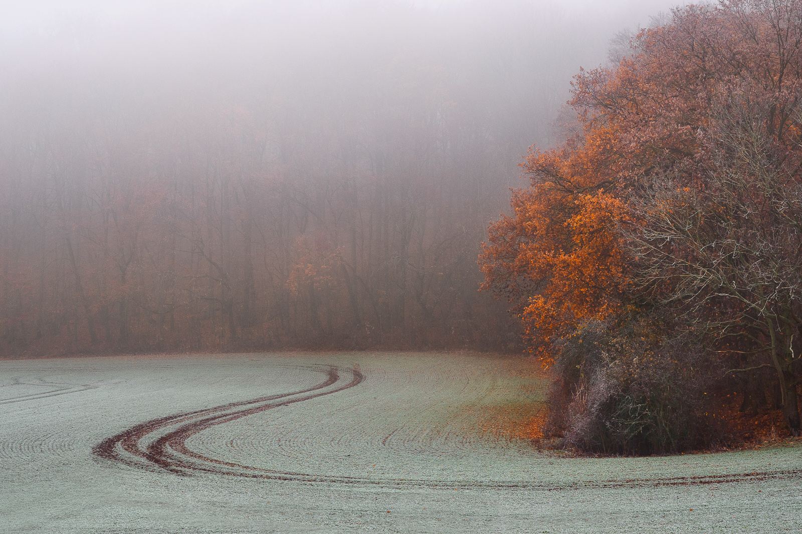 Herbst-Ende