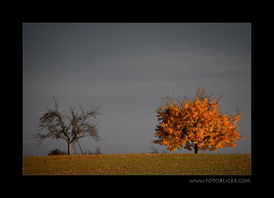 Herbst Ende