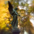 Herbst-Engel