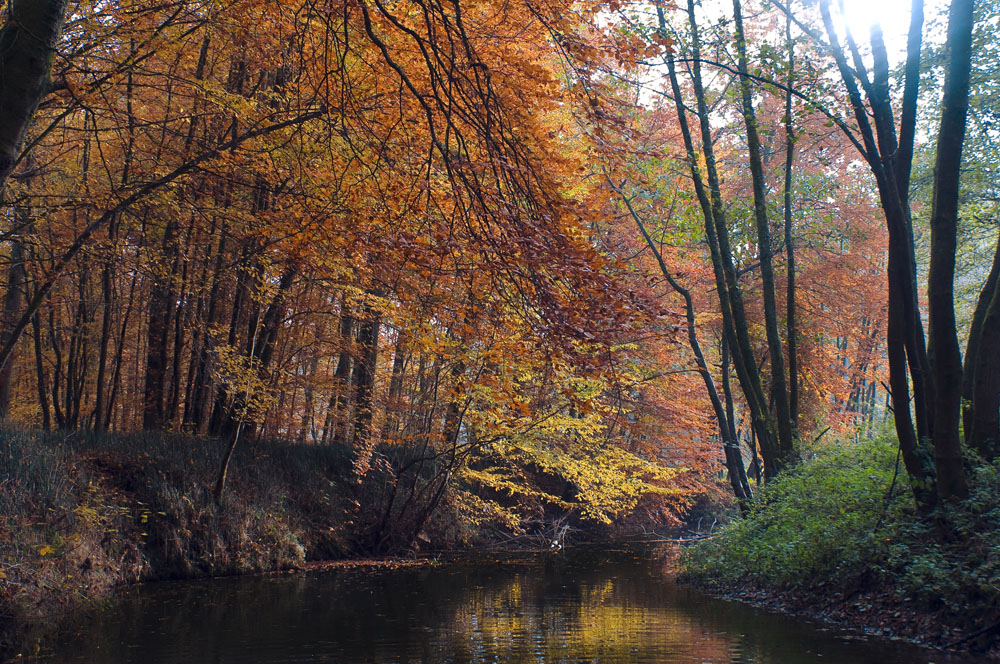 Herbst entlang der Eisch