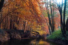 Herbst entlang der Eisch