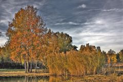 Herbst Erdekaut