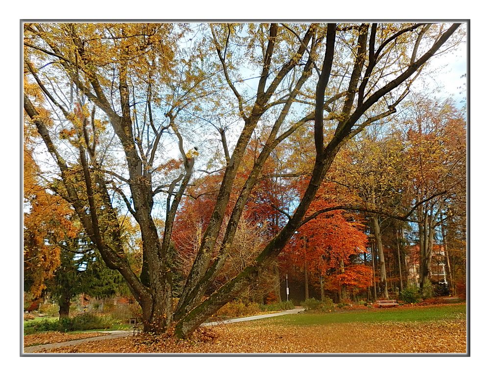 Herbst Erinnerung