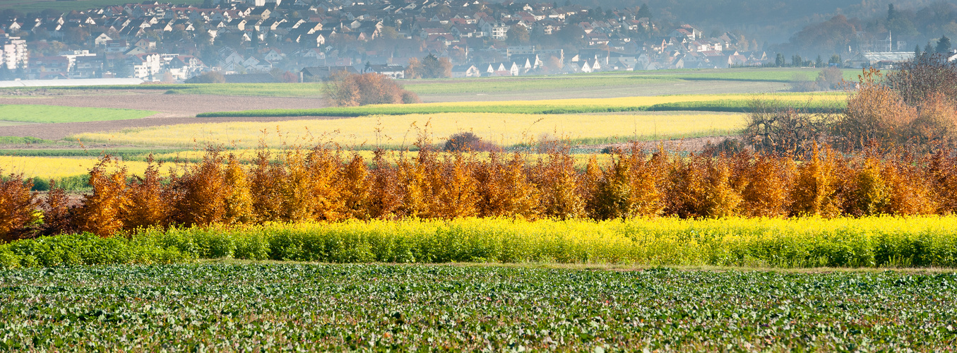 Herbst - Erinnerung an den schönen, langen Herbst 2011