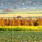 Herbst - Erinnerung an den schönen, langen Herbst 2011