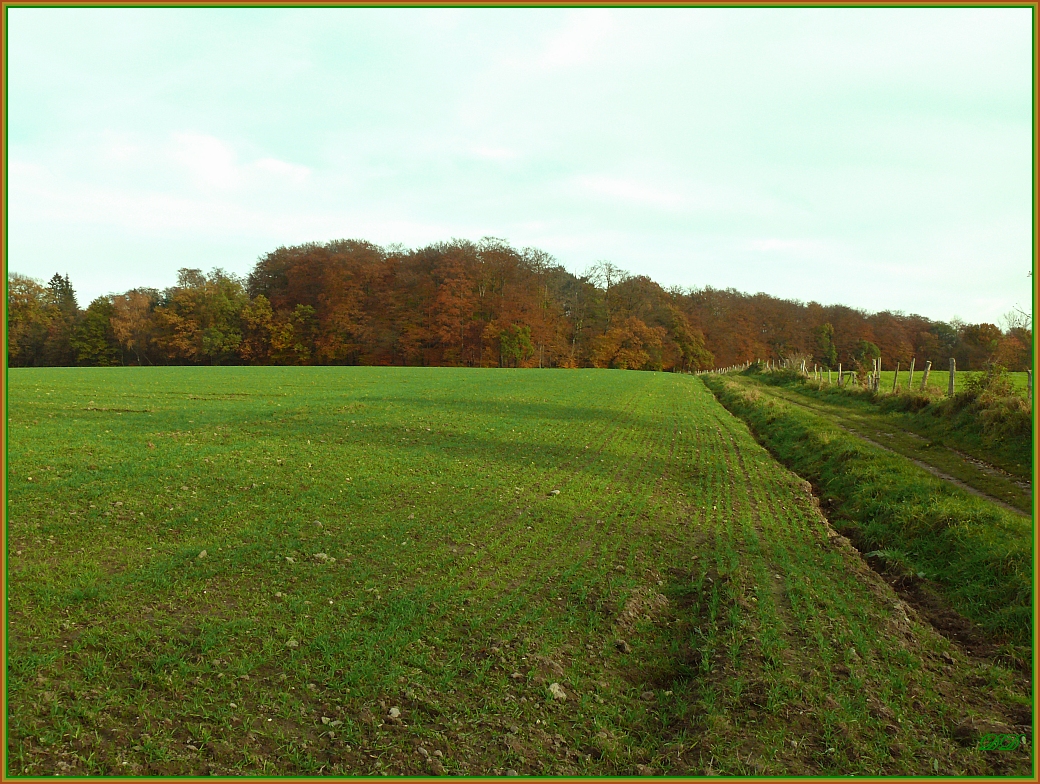 Herbst-Erinnerungen 1