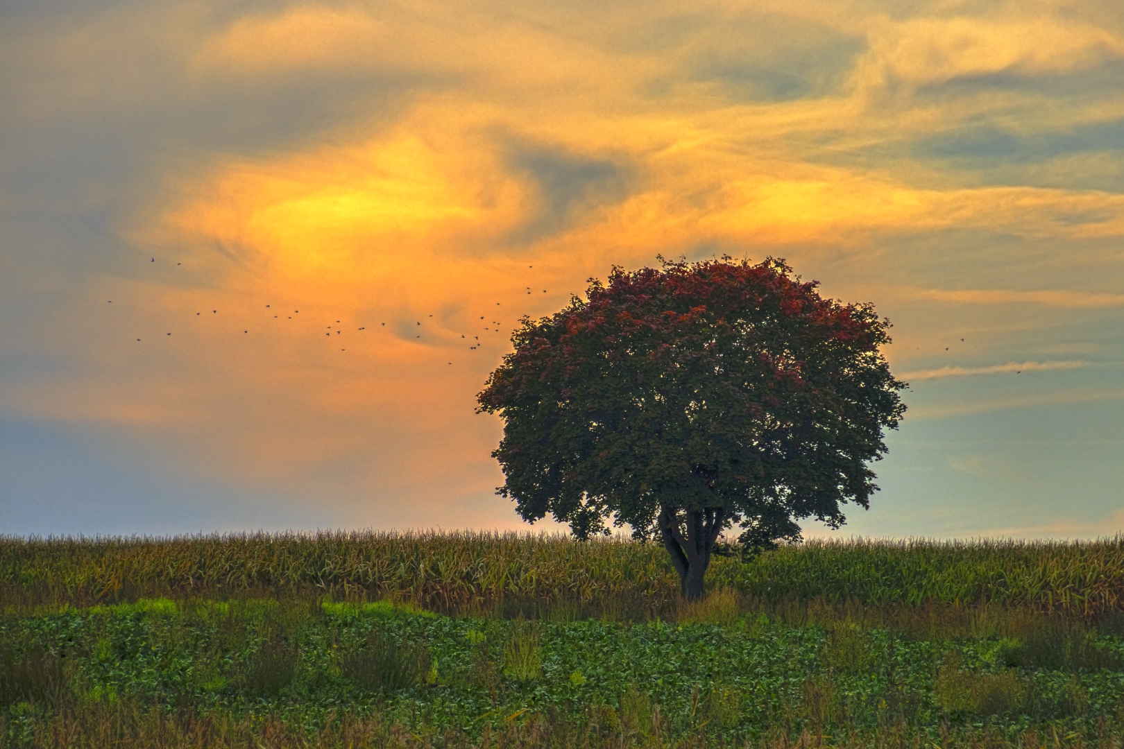 Herbst-Erwachen