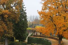 Herbst-Explosion im Park