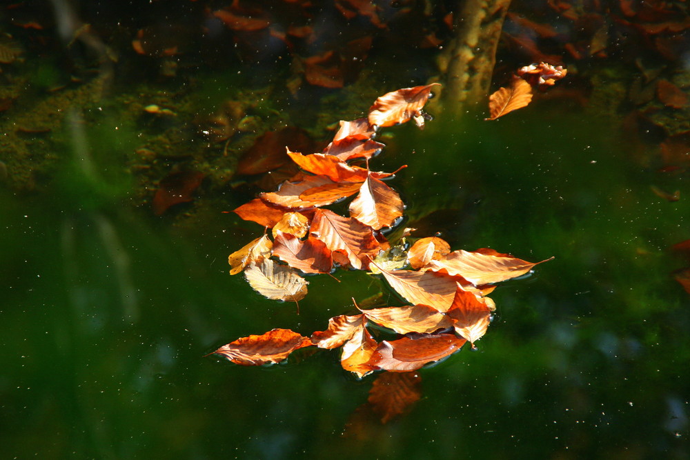 Herbst