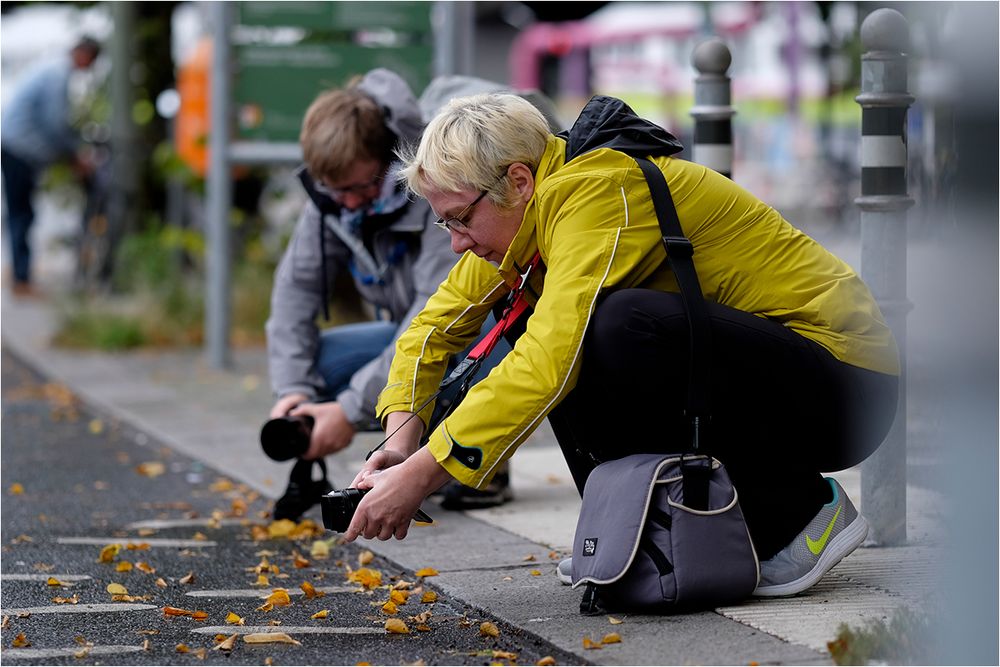 Herbst