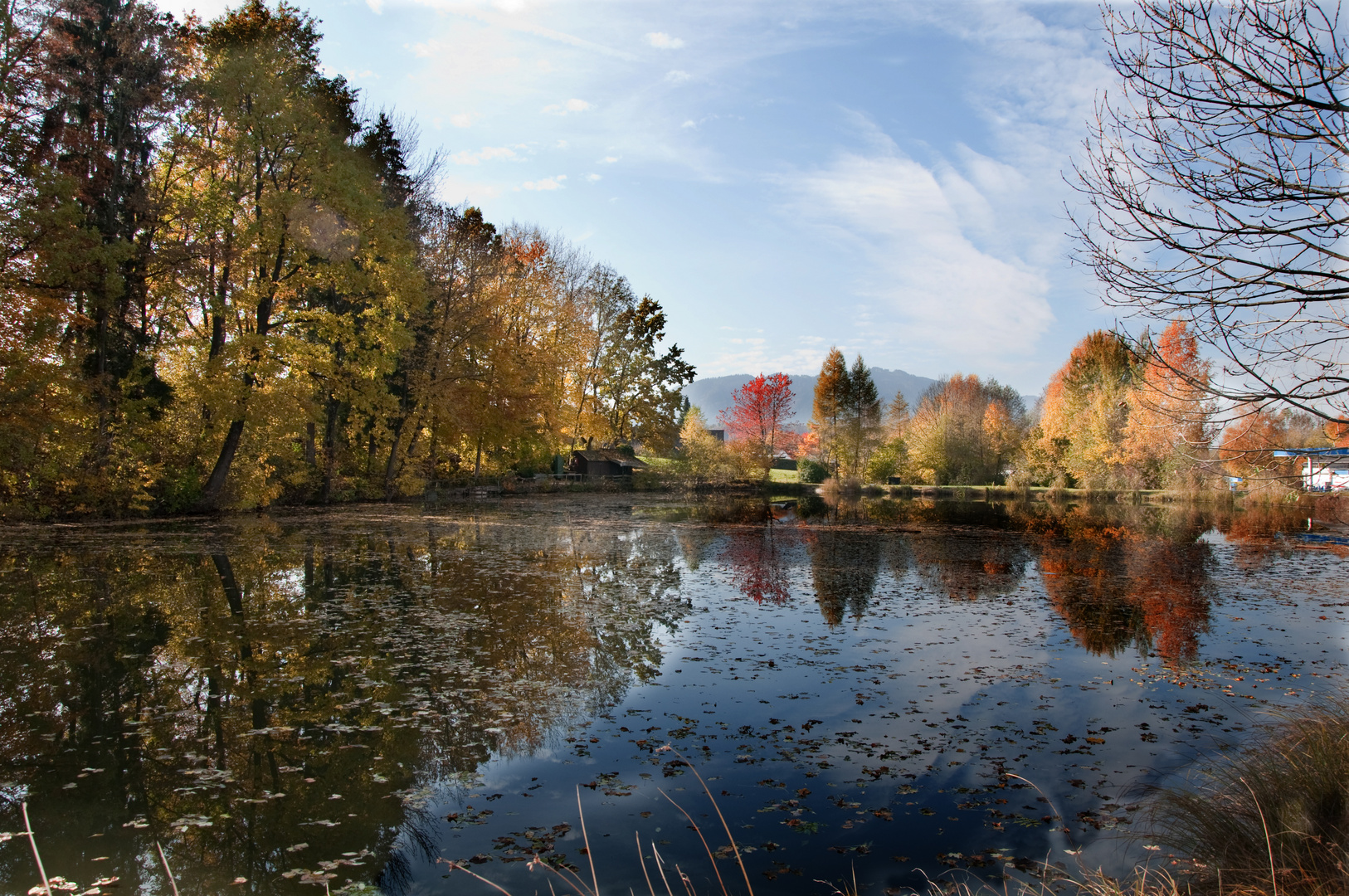 Herbst