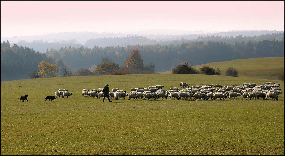 Herbst......