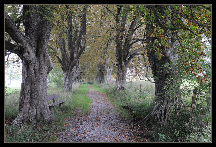 Herbst