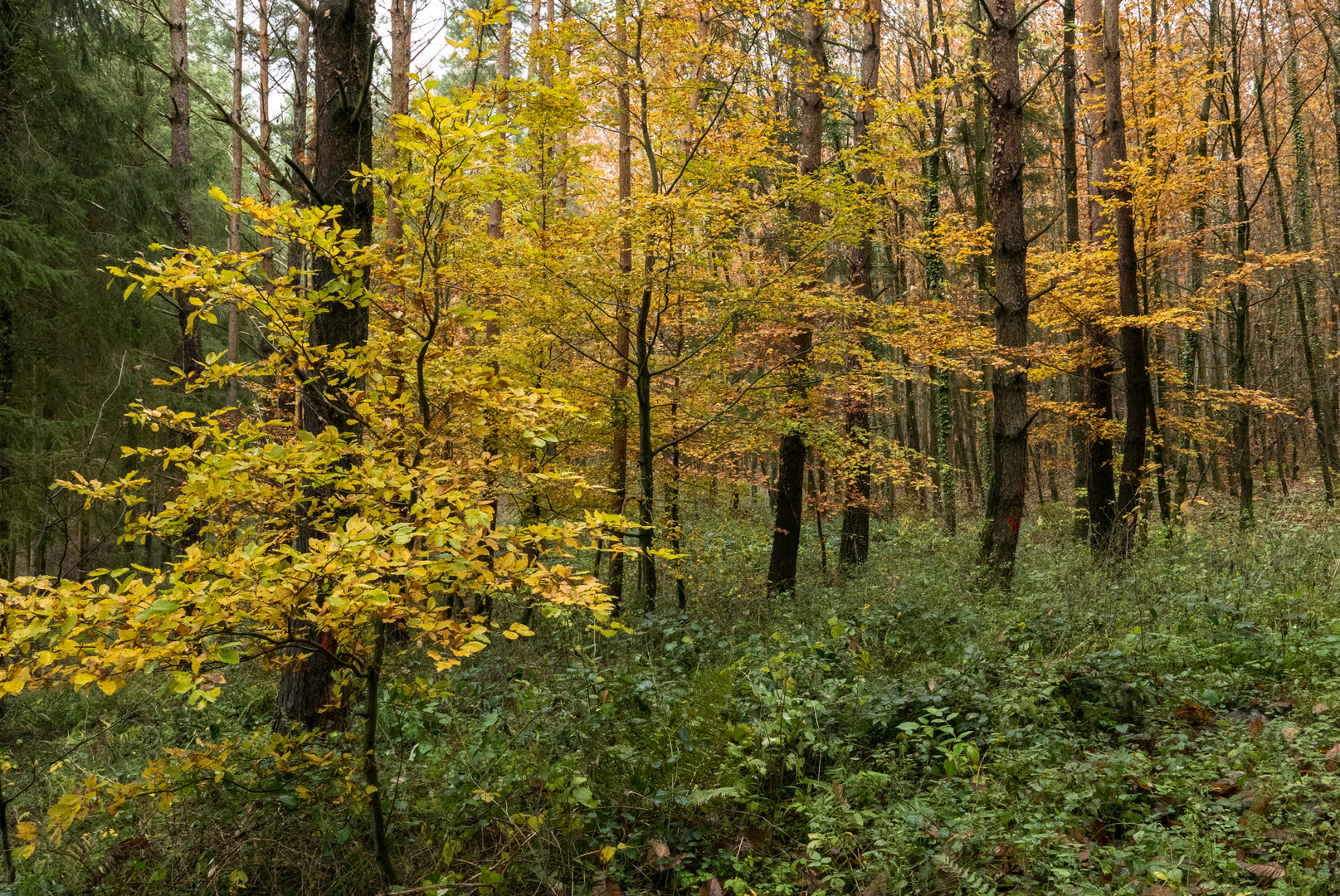 Herbst...