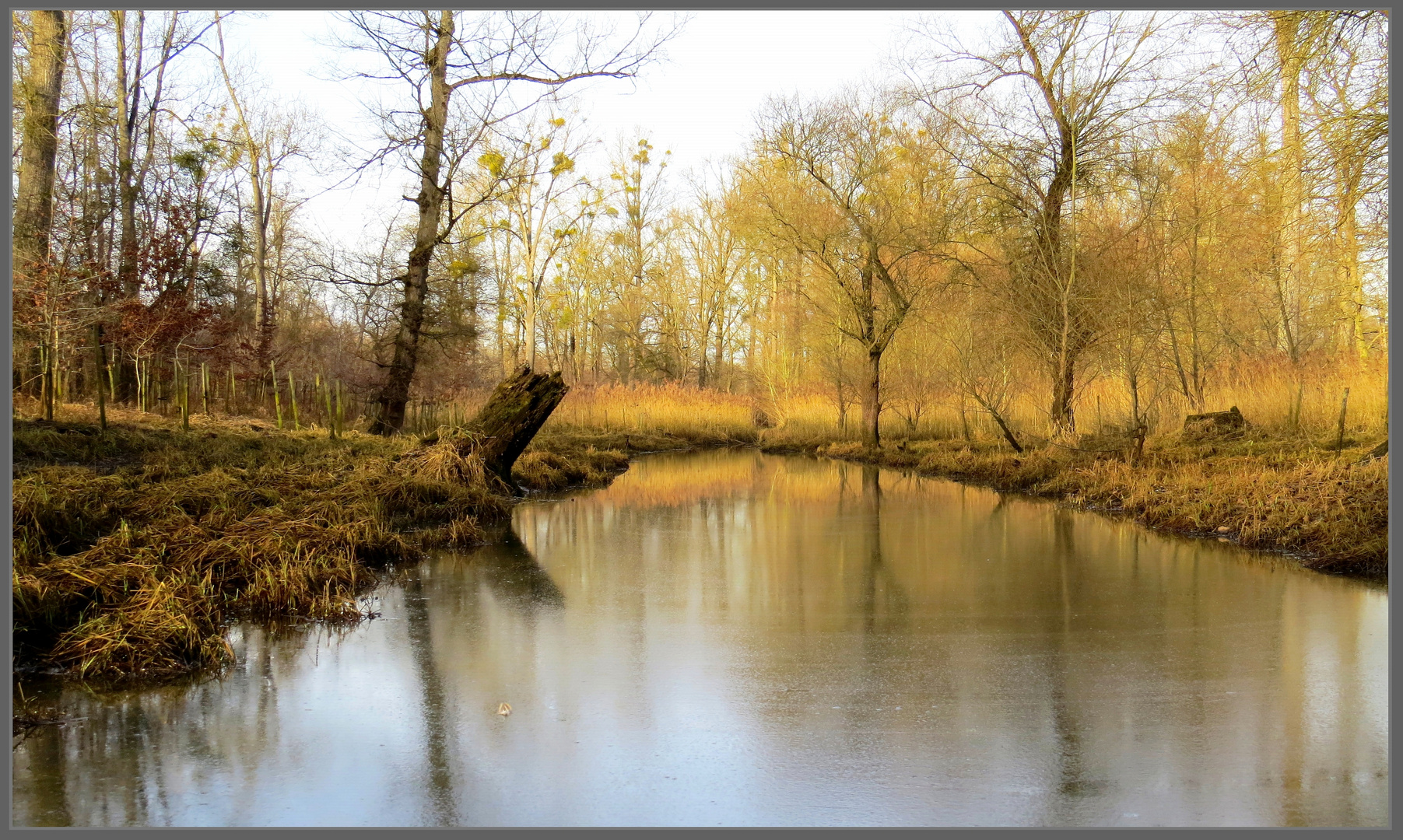 Herbst