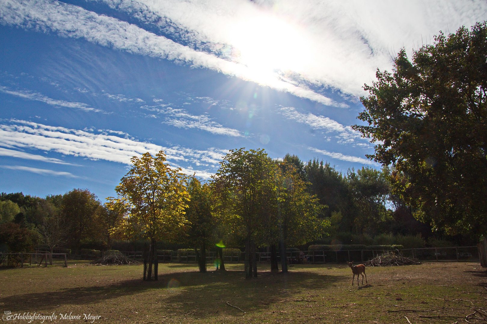 Herbst 