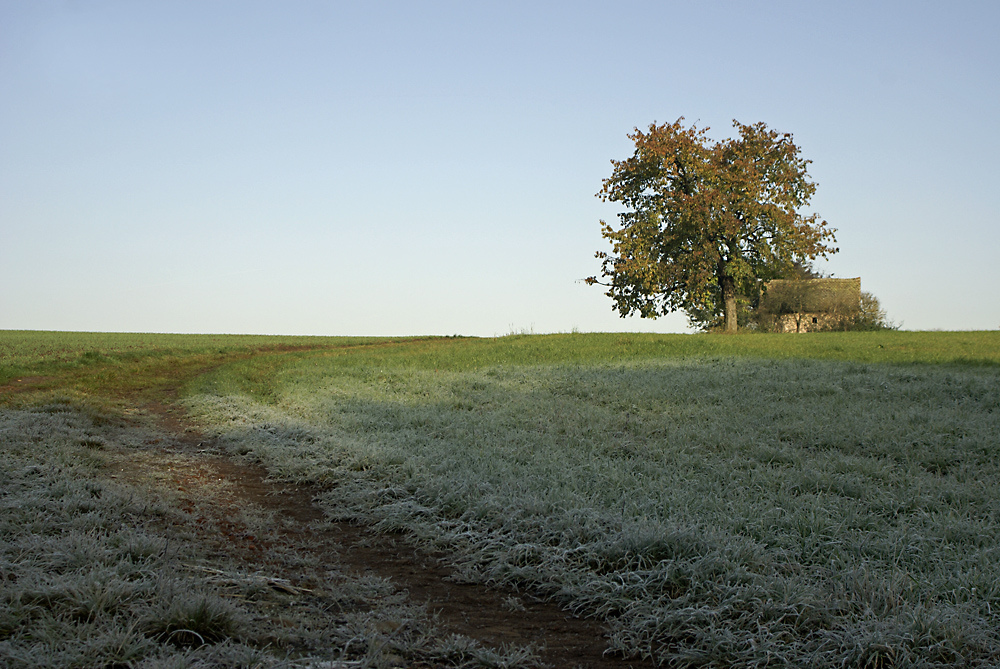 Herbst