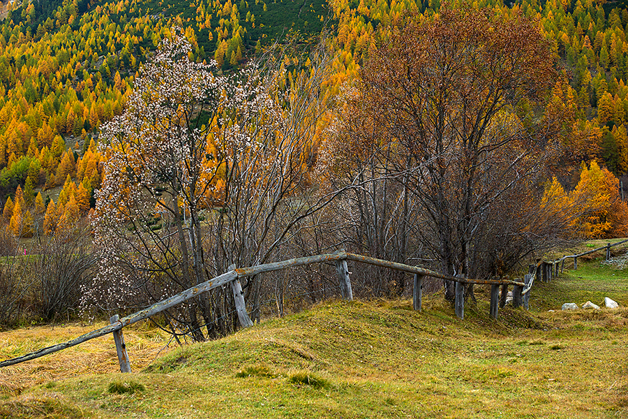 Herbst...