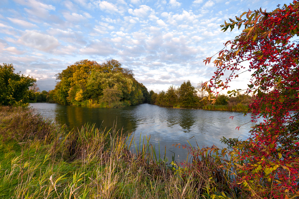 Herbst