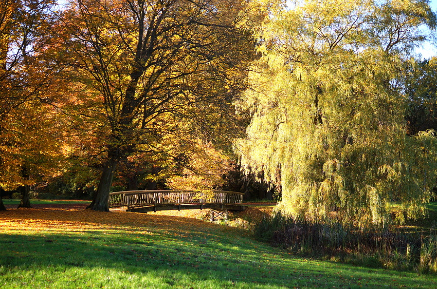 Herbst