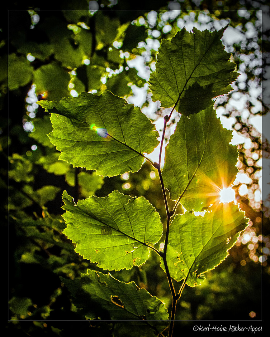 Herbst...